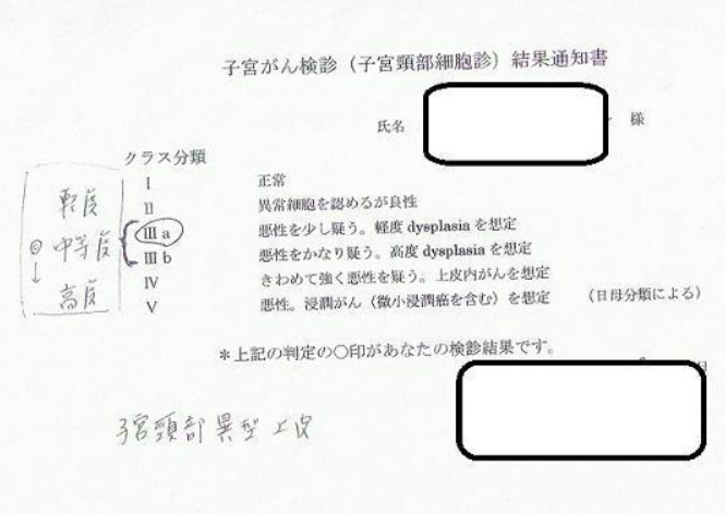 カテゴリー名