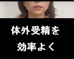 体外受精を効率よく成功させる